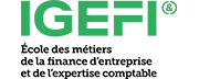 Logo IGEFI – Institut de gestion et d'études financières